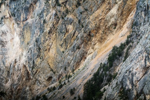 Blick vom Alpengarten Villacher Alpe auf die Rote Wand