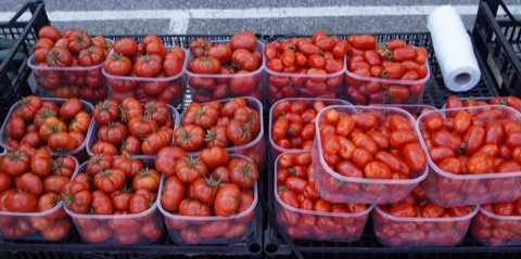 Plastikschalen mit frischen roten Tomaten in schwarzen Kisten an einem Marktstand