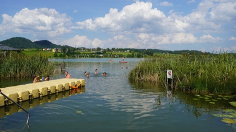 Badende und Stand-up-Paddler am Turnersee, Schilf und Seerosen im Vordergrund