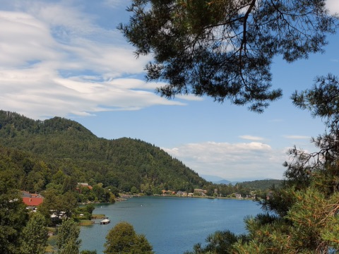 Blick zwischen Kiefernzweigen auf den Klopeiner See mit bewaldetem Hügel und Häusern am Ufer