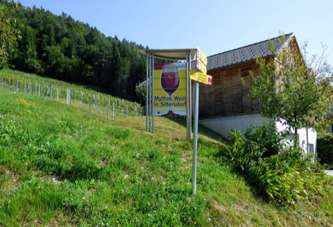 Weingarten am Weinberg bei Sittersdorf mit Wegweiser