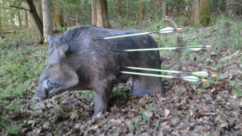 3D-Bogenziel in Form eines Wildschweins mit vier steckenden Pfeilen im Wald
