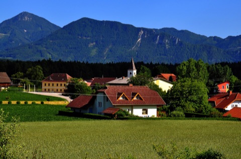 Das Dorf St. Primus mit Kirchturm und Häusern hinter einem Getreidefeld, im Hintergrund bewaldete Berge der Karawanken