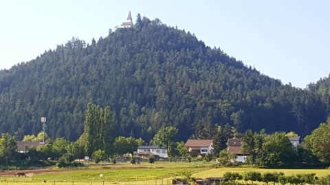 Bewaldeter Georgiberg mit der Georgikirche auf dem Gipfel, davor Weiden mit Pferden und Häuser am Fuß des Berges