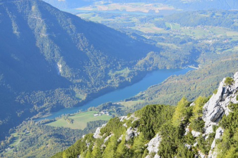 Blick vom Kuhberg hinunter auf den langgestreckten, türkisblauen Freibacher Stausee zwischen bewaldeten Hängen