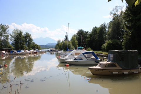 Motorboote im Bootshafen Neudenstein am Völkermarkter Stausee, umgeben von Bäumen, im Hintergrund ein Berg