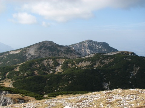 Kniepsspitze und Feistritzer Spitze im Gipfelbereich der Petzen mit Latschenhängen