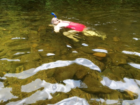 Eine Person mit Taucherbrille und Schnorchel treibt bäuchlings im klaren, flachen Süßwasser über steinigem Grund