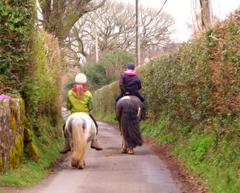 Zwei Kinder reiten auf Ponys einen von Hecken gesäumten Weg entlang, von hinten gesehen