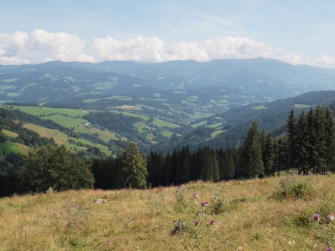 Weiter Blick von einer Bergwiese mit Disteln über Wälder, Wiesen und Höfe am Hang der Saualpe zu fernen Bergrücken