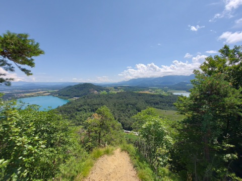 Blick von einem Waldpfad am Kitzelberg auf den türkisblauen Klopeiner See links und den Turnersee rechts, dazwischen bewaldete Hügel, Felder und am Horizont die Karawanken