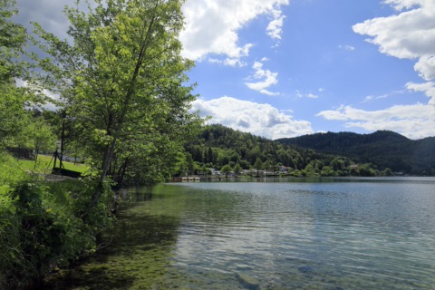 Uferweg am Südufer des Klopeiner Sees mit frei zugänglichem Ufer