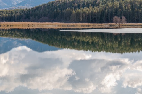 Spiegelglatter Turnersee: Schilfgürtel und Nadelwald am Ufer spiegeln sich mit den Wolken im Wasser, rechts eine dünne Eisfläche