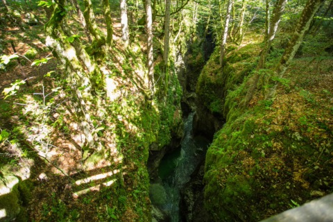 Blick von einer Brücke in die enge, bemooste Mostnica-Klamm mit grünem Wasser