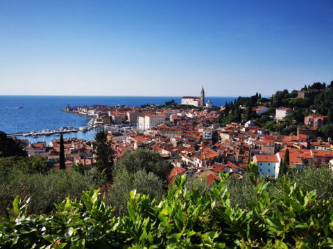 Blick über die roten Dächer der Altstadt von Piran mit Kirchturm St. Georg und dem Meer