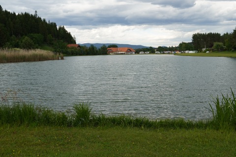 Pirkdorfer See mit Schilfufer, im Hintergrund das Seerestaurant und der Campingplatz
