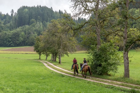 Zwei Reiter mit Hüten auf braunen Pferden auf einem Feldweg zwischen Wiesen und Birnbäumen vor einem Waldhügel
