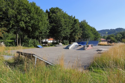 Leere Skateanlage mit Rampen, Quarterpipes und Funbox auf einer Asphaltfläche, umgeben von Bäumen und hohem Gras