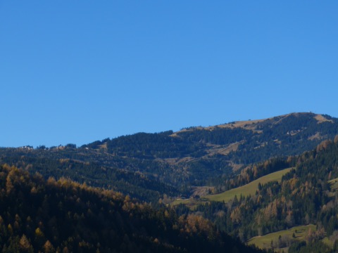 Bewaldete Hänge am Klippitztörl mit dem Gipfel des Hohenwart