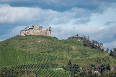 Burg Taggenbrunn über den Weinbergen, Ansicht von Süden