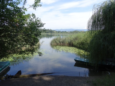Sommerlicher Blick über den Kleinsee mit Schilf, Seerosen und einem Holzboot am Ufer, eingerahmt von Bäumen, im Hintergrund bewaldete Hügel