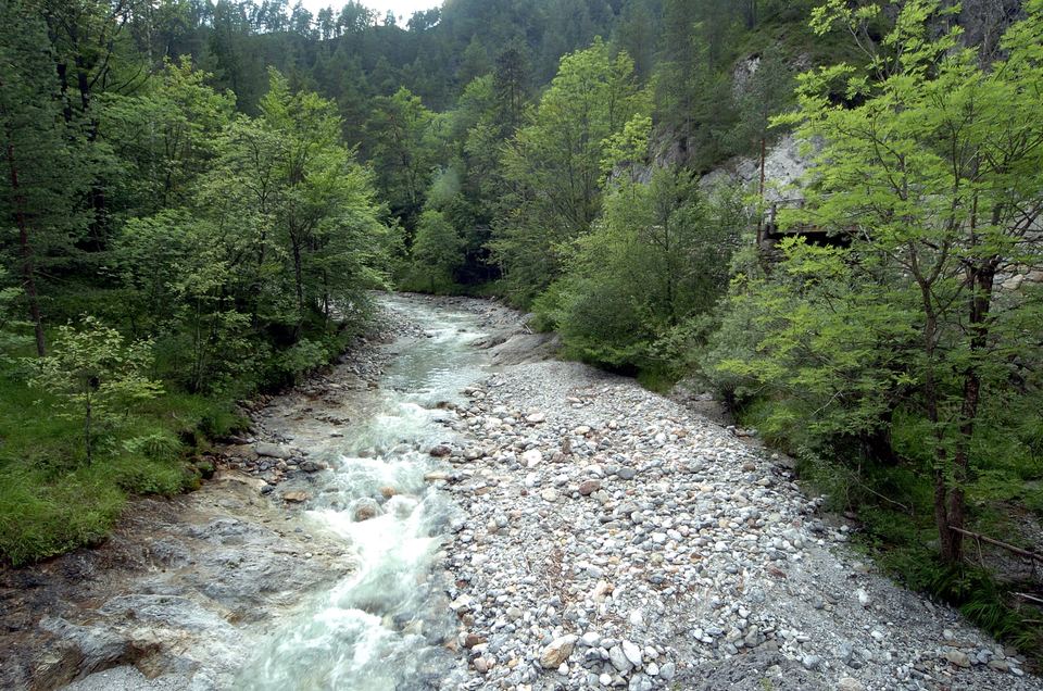 Der Trögerner Bach rauscht durch die grüne Trögerner Klamm bei Bad Eisenkappel