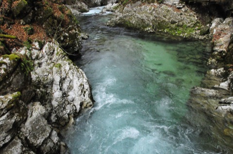 Türkisgrüne Radovna zwischen hellen Felsen in der Vintgar-Klamm