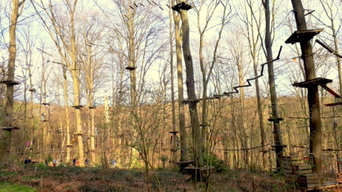 Hochseilgarten in einem noch unbelaubten Laubwald: Holzplattformen an Baumstämmen, verbunden durch Seilbrücken und Kletterelemente, am Boden kleine Besuchergruppen