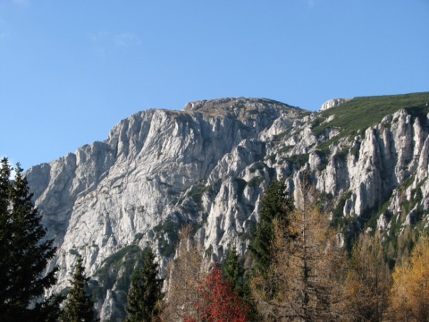 Helle Kalkfelswände der Petzen mit dem Gipfel Kordeževa glava unter blauem Himmel, davor herbstliche Lärchen und Fichten
