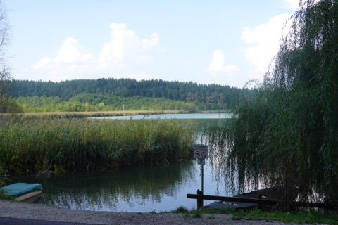Ufer des Kleinsees bei Seelach mit Schilf, einer Trauerweide, einem Schongebiet-Schild und einem abgedeckten Boot, dahinter bewaldetes Ufer