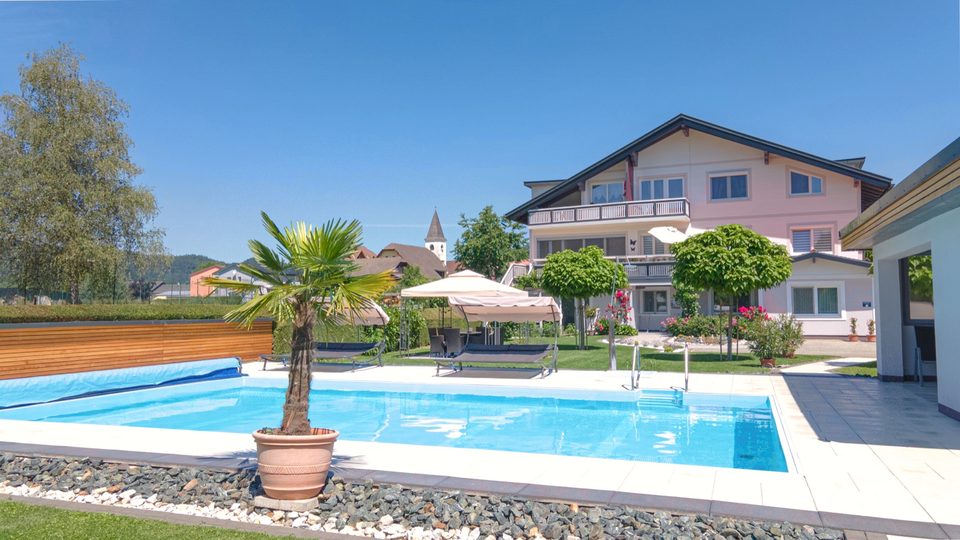 Pool mit Palme im Terrakottatopf, im Hintergrund das Ferienhaus