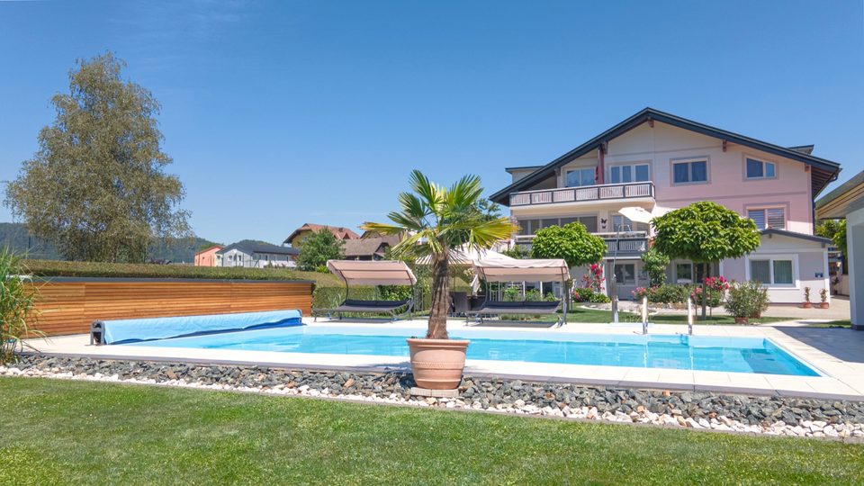 Pool mit Palme und gepflegter Rasenfläche, dahinter das Haus