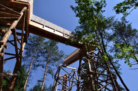 Baumwipfelweg der Walderlebniswelt zwischen hohen Bäumen