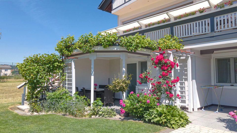 Überdachte Terrasse mit weißer Pergola, Weinlaub und roten Rosen