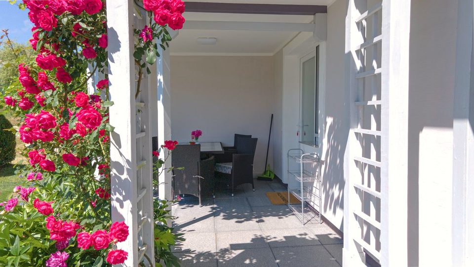 Sitzgruppe unter der Pergola, umrahmt von roten Kletterrosen